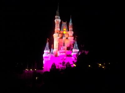 magic kingdom castle at night. Tried and True Magic Kingdom