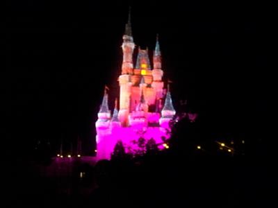 Cinderella Castle at Night