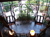 View of Animals from Lobby