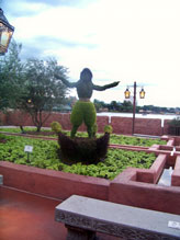 Aladdin topiary in the  Morocco pavilian at Epcot
