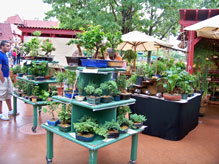 Outdoor Flower and Garden stand located on the World Showcase walkway