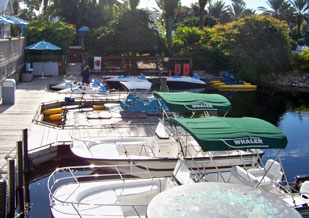 Marina at Disney's Old Key West Resort