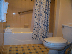 Disney's Beach Club Villas 2nd Bathroom