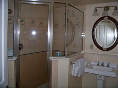 The Master Bath Has a Spacious Shower and Master Bath