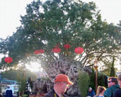 Beautiful tree in the China Pavilion in Epcot.