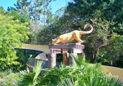 Slide at Coronado Springs Pool