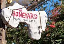 The Boneyard playground In DinoLand USA at Disney's Animal Kingdom.