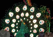 The Spectromagic Parade at the Magic Kingdom