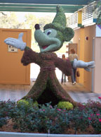 Mickey Mouse topiary at Disney World