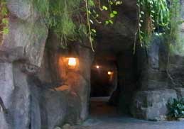 The Oasis in Disney's Animal Kingdom