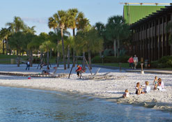 Outside landscape at  The Polynesian Resort