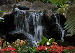 Garden inside lobby of Polynesian Resort