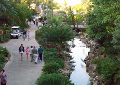 Longhouse building on beach at Disney's polynesian Resort