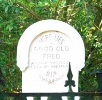 Grave yard outside Haunted Mansion