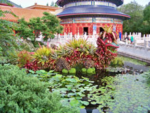 Dragon topiary in the China pavilion in the World Showcase