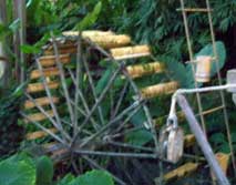 Swiss Family Treehouse in Adventureland