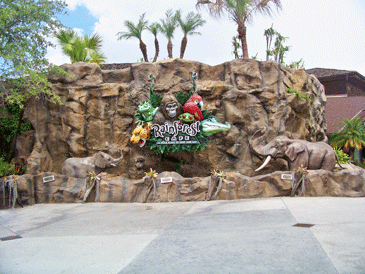 The Rainforest Cafe 