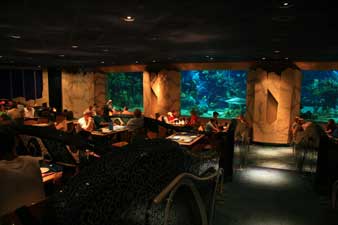 The Coral Reef Restaurant in the Future World Section of Epcot