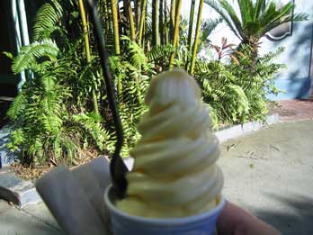 Pineapple Dole Whip from Disney's Magic Kingdom