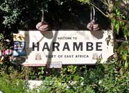 The village of Harame in Africa ar Disney's Animal Kingdom