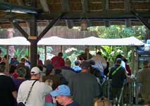 The ride vehicle at Kilimanjaro Safari